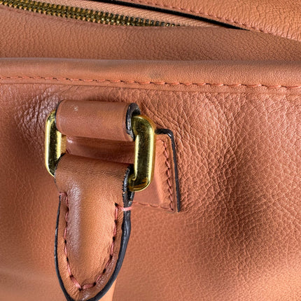 Loewe Amazona Medium 36 Light Coral Leather With Strap Goat Animal Lock