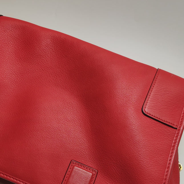 Loewe Amazona 36 Medium Red Leather Snail Lock Gold-tone Hardware