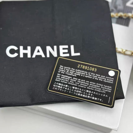 Chanel White Quilted Lambskin Double Side Pack Bags Aged Gold Hardware 2019