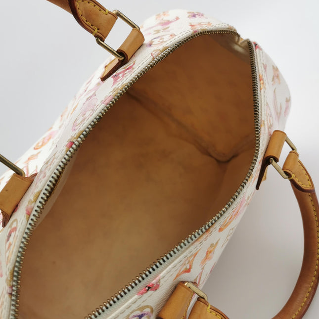 Louis Vuitton Speedy 30 Monogram Watercolor Pink Handbag Richard Prince 2008