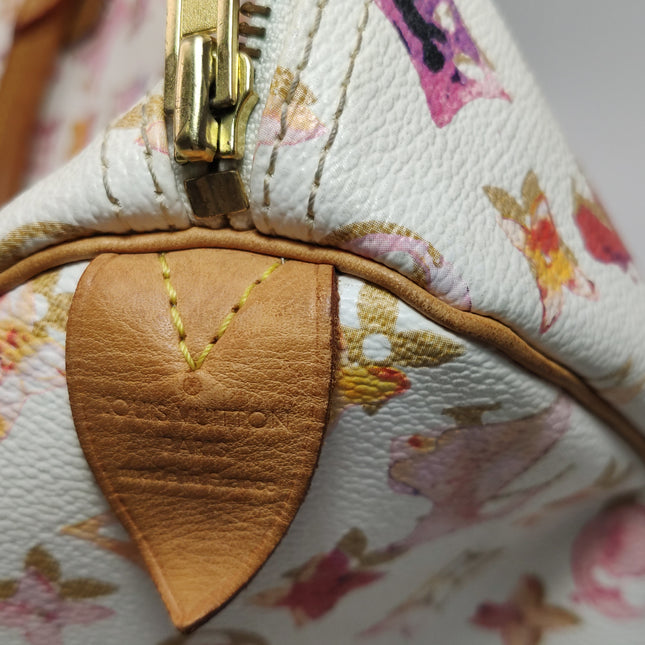 Louis Vuitton Speedy 30 Monogram Watercolor Pink Handbag Richard Prince 2008