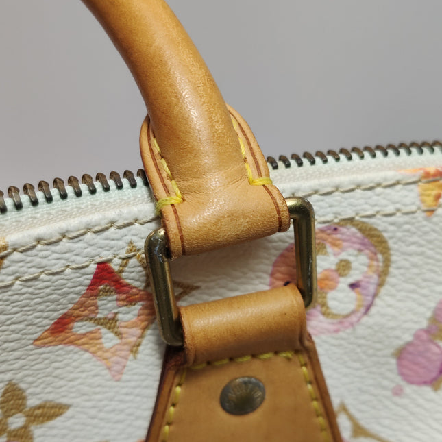 Louis Vuitton Speedy 30 Monogram Watercolor Pink Handbag Richard Prince 2008