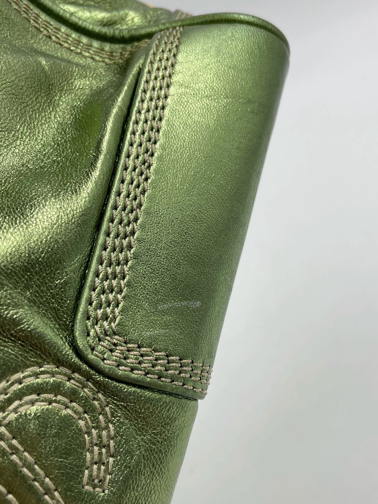 Loewe Amazona 29 Zip Around in Metallic Green Lambskin Leather