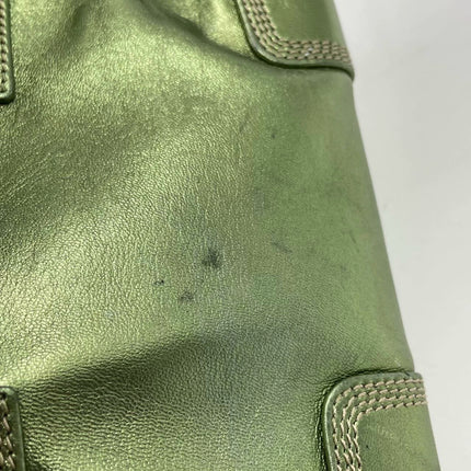 Loewe Amazona 29 Zip Around in Metallic Green Lambskin Leather