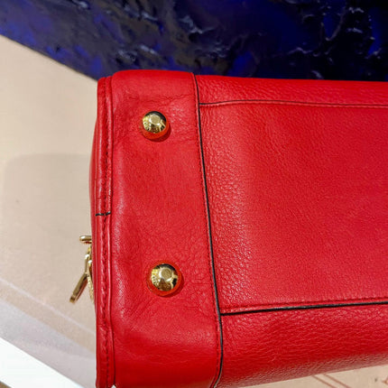 Loewe Amazona 36 Large in Red Leather and Gold tone Hardware Snail Lock