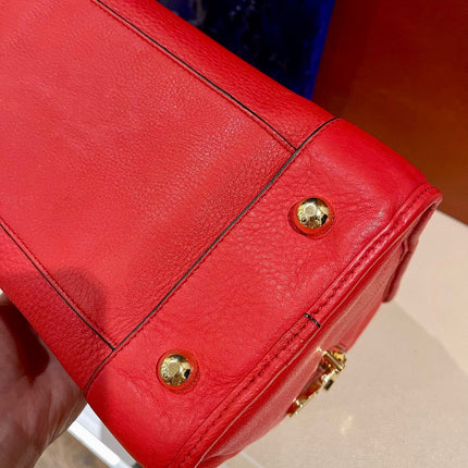 Loewe Amazona 36 Large in Red Leather and Gold tone Hardware Snail Lock