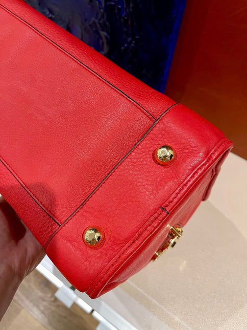 Loewe Amazona 36 Large in Red Leather and Gold tone Hardware Snail Lock