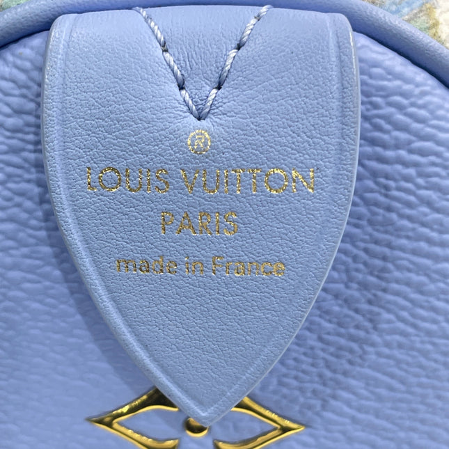Louis Vuitton x Jeff Koons Speedy 30 Van Gogh Top Handle Bag