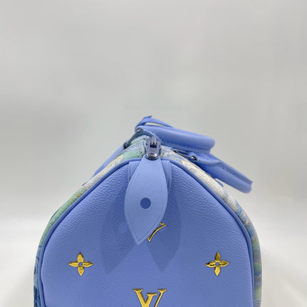 Louis Vuitton x Jeff Koons Speedy 30 Van Gogh Top Handle Bag
