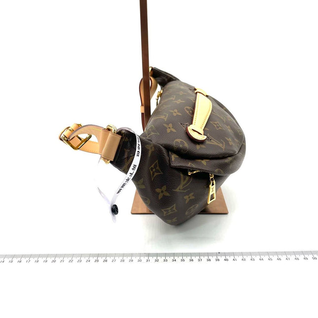 Sold Louis Vuitton Bum Bag Brown Monogram with Leather