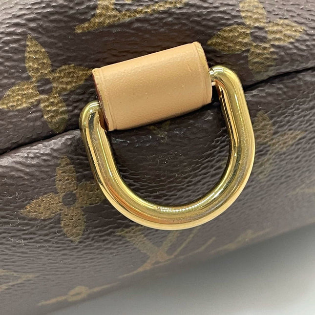 Sold Louis Vuitton Bum Bag Brown Monogram with Leather