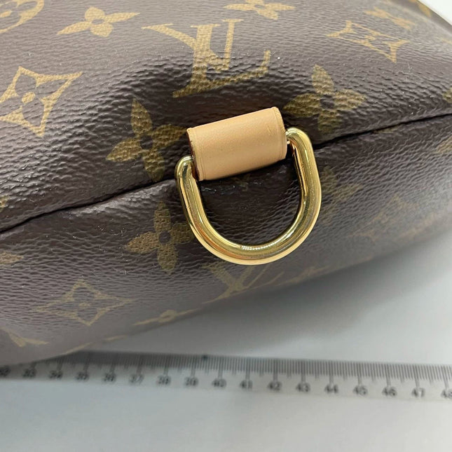Sold Louis Vuitton Bum Bag Brown Monogram with Leather