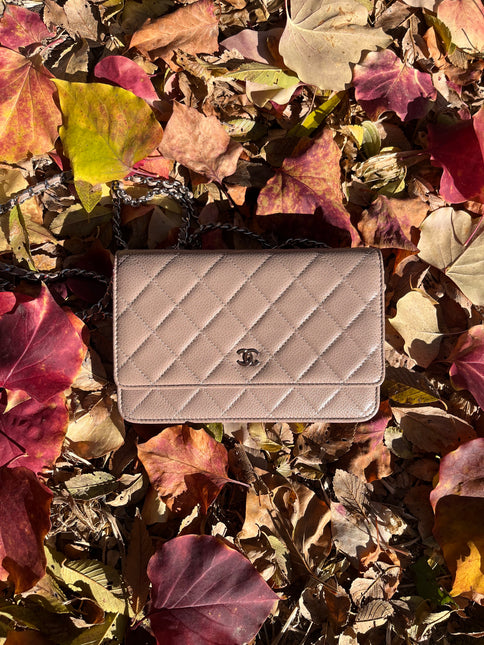Sold Chanel Wallet on Chain WOC Beige with Silver hardware-Luxbags