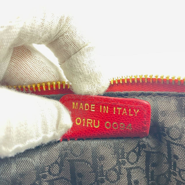 Dior Saddle Vintage Classic Leopard Print Ponyhair Calfskin leather red strap zip opening