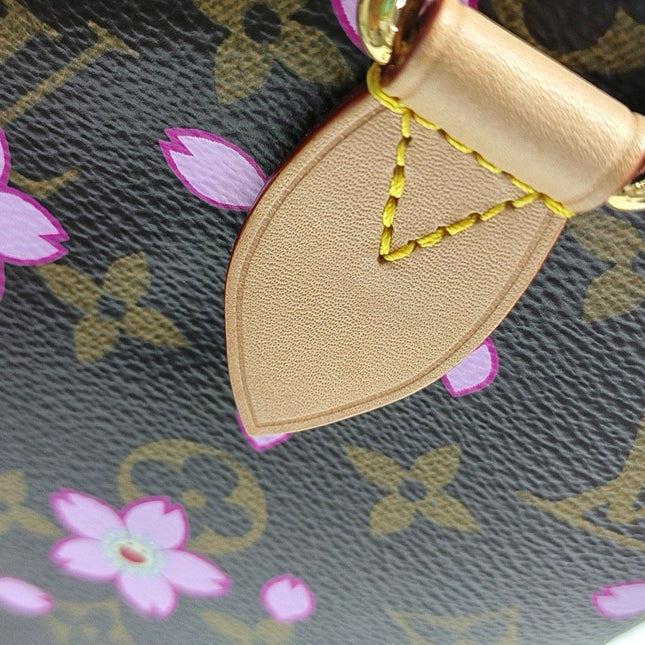 Louis Vuitton x Takashi Murakami Speedy 25 Cherry Blossoms on Monogram Crossbody Bag