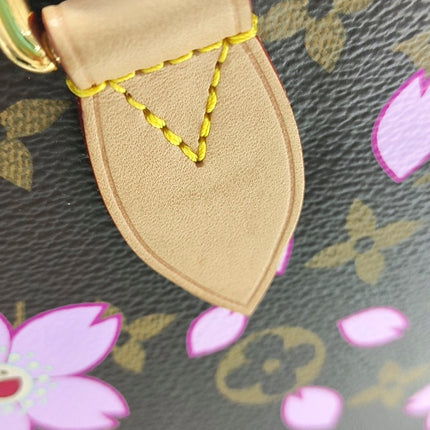 Louis Vuitton x Takashi Murakami Speedy 25 Cherry Blossoms on Monogram Crossbody Bag