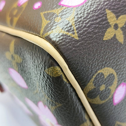 Louis Vuitton x Takashi Murakami Speedy 25 Cherry Blossoms on Monogram Crossbody Bag