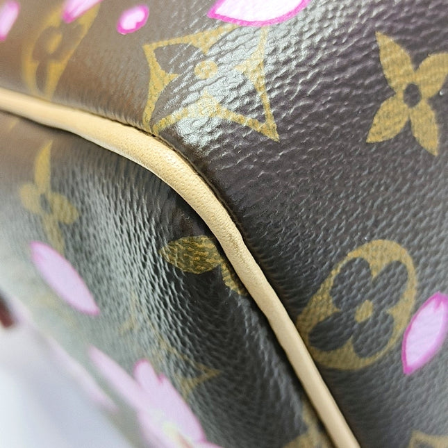 Louis Vuitton x Takashi Murakami Speedy 25 Cherry Blossoms on Monogram Crossbody Bag