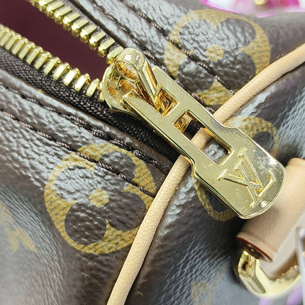 Louis Vuitton x Takashi Murakami Speedy 25 Cherry Blossoms on Monogram Crossbody Bag
