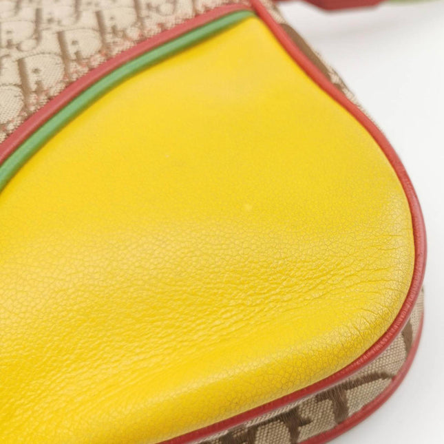 Sold Dior Rasta Trotter Double Saddle Shoulder Bag