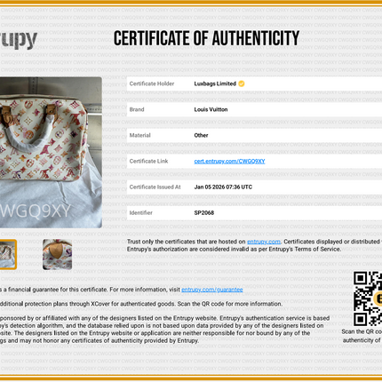 Louis Vuitton Speedy 30 Monogram Watercolor Pink Handbag Richard Prince 2008