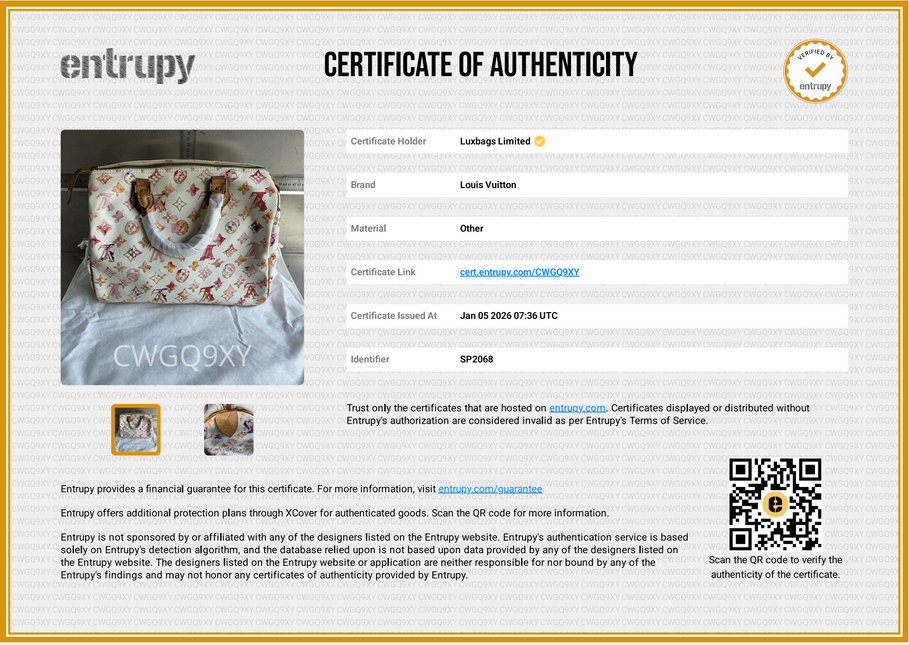 Louis Vuitton Speedy 30 Monogram Watercolor Pink Handbag Richard Prince 2008