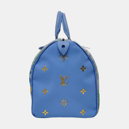 Louis Vuitton x Jeff Koons Speedy 30 Van Gogh Top Handle Bag