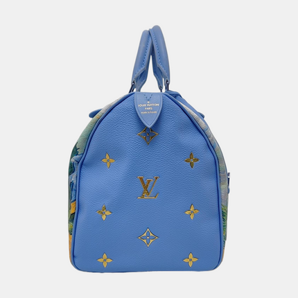 Louis Vuitton x Jeff Koons Speedy 30 Van Gogh Top Handle Bag