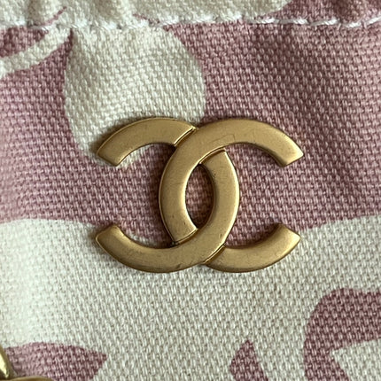 Chanel Canvas Clover Print Pink and White Frame Bag with Pouch 2004
