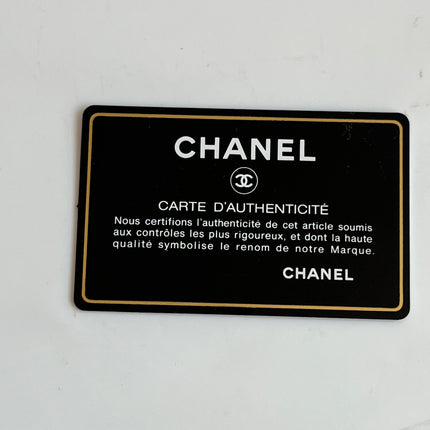 Chanel Canvas Clover Print Pink and White Frame Bag with Pouch 2004