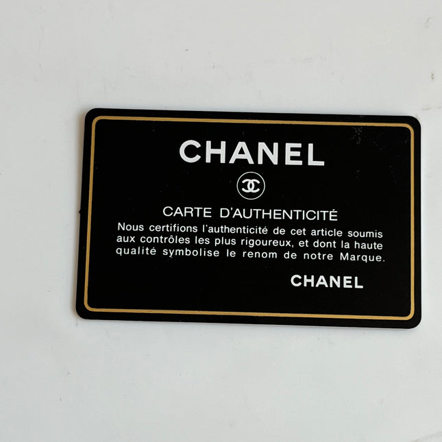 Chanel Canvas Clover Print Pink and White Frame Bag with Pouch 2004