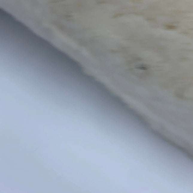 Chanel White Rabbit Fur Kiss Lock Clutch Chain Bag