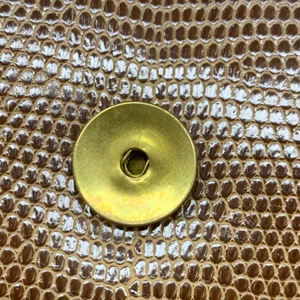 Chanel Single Flap Bag Vintage Small Brown Lizard Leather Gold Hardware