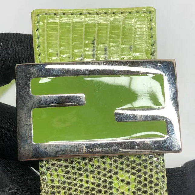 Fendi Baguette Black Cloth Multicolor Embroidery Green Lizard Skin Strap