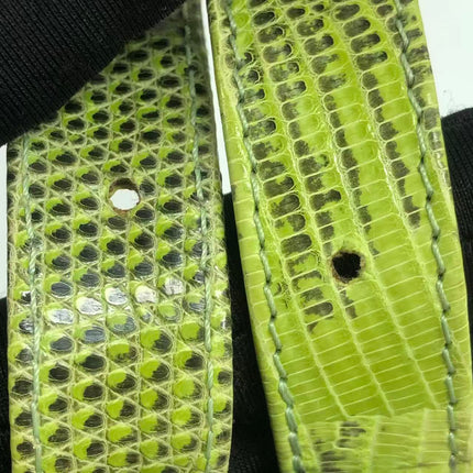 Fendi Baguette Black Cloth Multicolor Embroidery Green Lizard Skin Strap