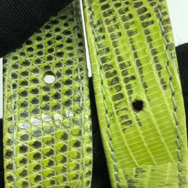 Fendi Baguette Black Cloth Multicolor Embroidery Green Lizard Skin Strap