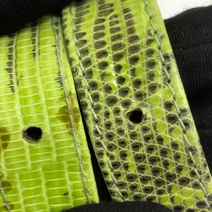 Fendi Baguette Black Cloth Multicolor Embroidery Green Lizard Skin Strap