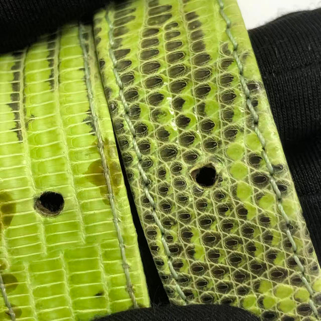 Fendi Baguette Black Cloth Multicolor Embroidery Green Lizard Skin Strap