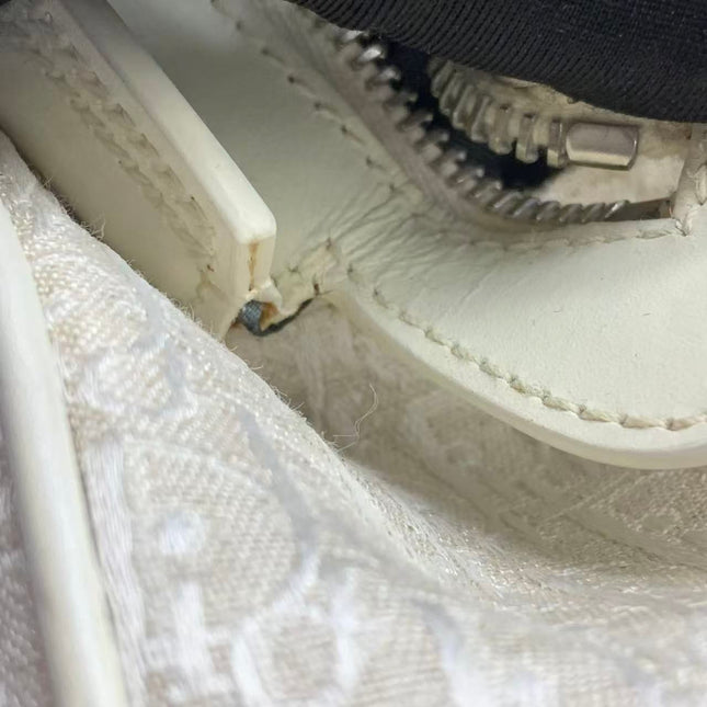 Dior by John Galliano 2025 White Leather Canvas Mini Detective Handbag