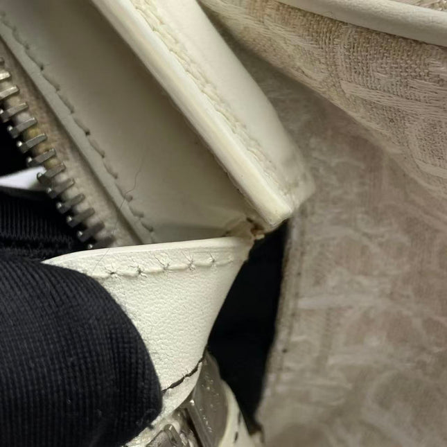 Dior by John Galliano 2025 White Leather Canvas Mini Detective Handbag