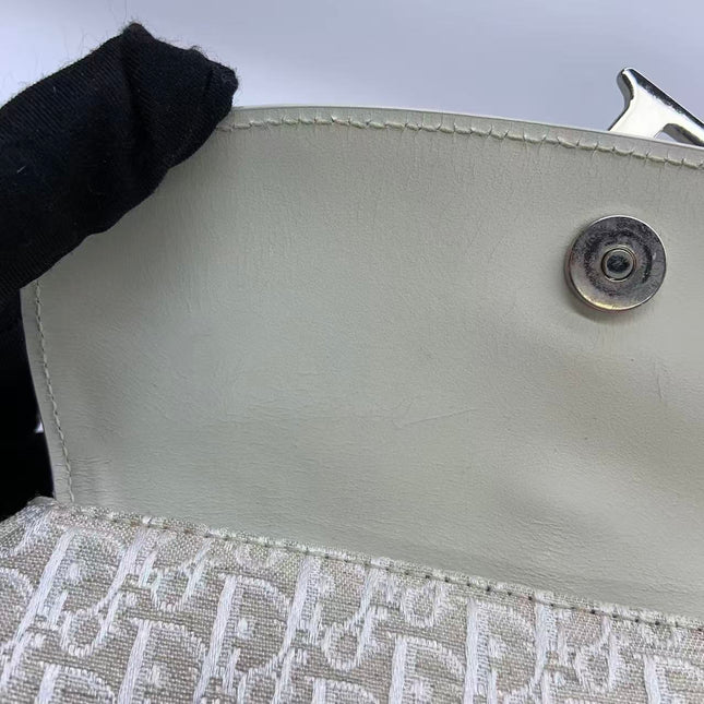 Dior by John Galliano 2025 White Leather Canvas Mini Detective Handbag