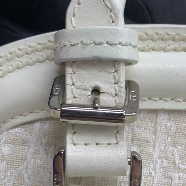 Dior by John Galliano 2025 White Leather Canvas Mini Detective Handbag
