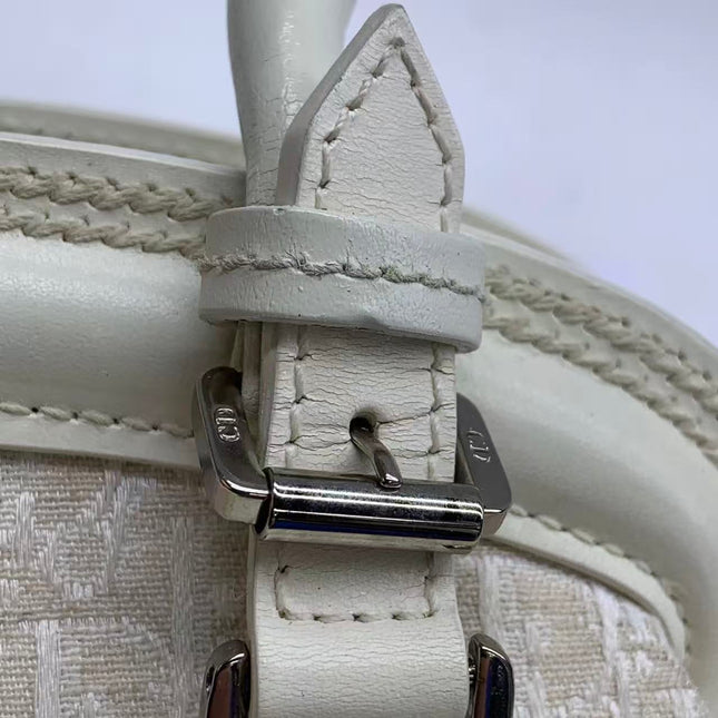 Dior by John Galliano 2025 White Leather Canvas Mini Detective Handbag