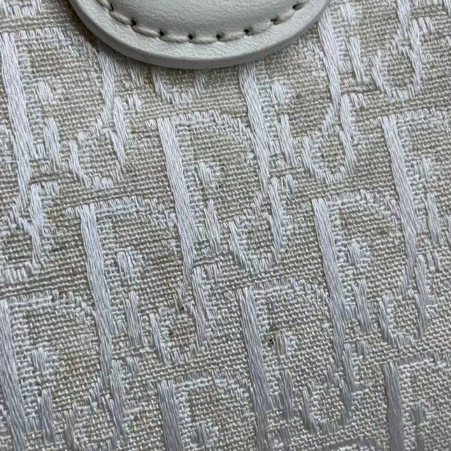 Dior by John Galliano 2025 White Leather Canvas Mini Detective Handbag