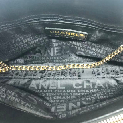 Chanel Rare Precious Symbols Needlepoint East West Shoulder Bag