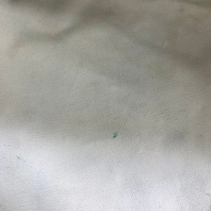 Goyard Saint Louis Tote PM Medium Green Printed Canvas 2018