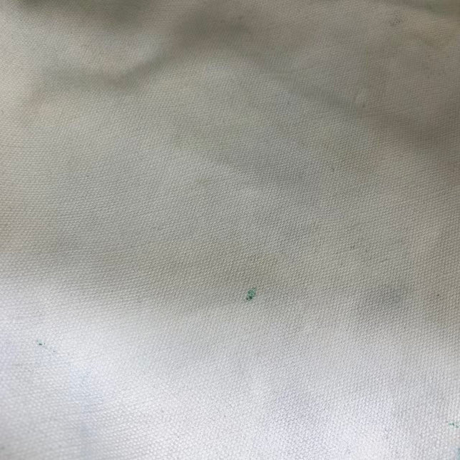 Goyard Saint Louis Tote PM Medium Green Printed Canvas 2018