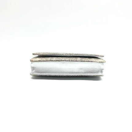 Chanel Wallet on Chain Silver Iridescent Lizard-skin Effect Embossed Leather