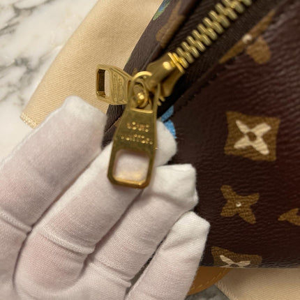 Sold Louis Vuitton by Tyler, the Creator Rush Bumbag