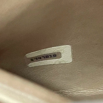 Chanel Camera Bag Beige with gold chains